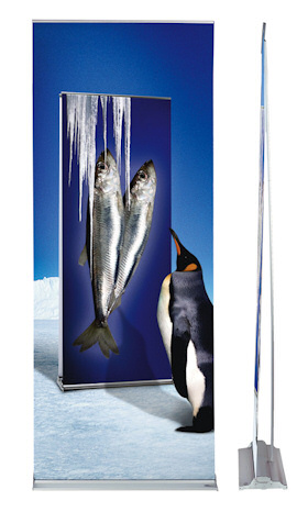 Roll Up Banners Display