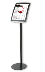 The satellite display system