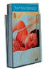 COMPACT LITERATURE RACK