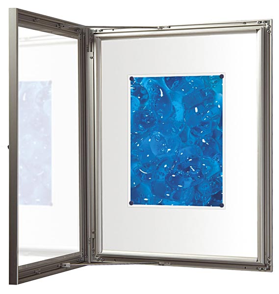 <i>Lockable aluminium display case with hinged door