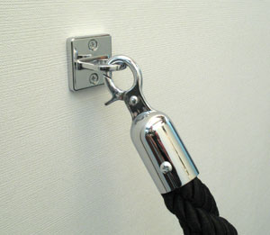 queue stanchion rope