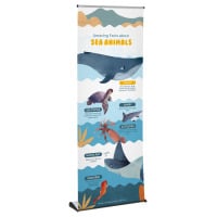 Slim Low Profile Roller Banner Stand