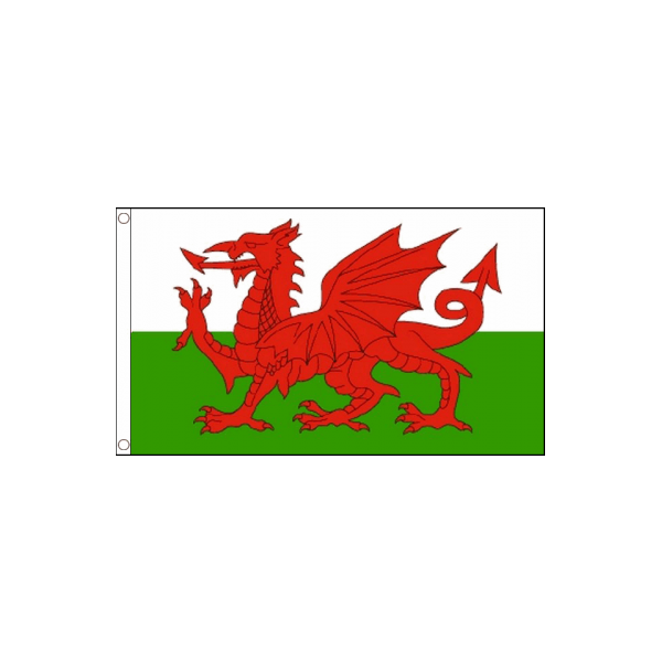 Wales Large Nylon Flag 5ftx3ft Banner Decoration Welsh National British 