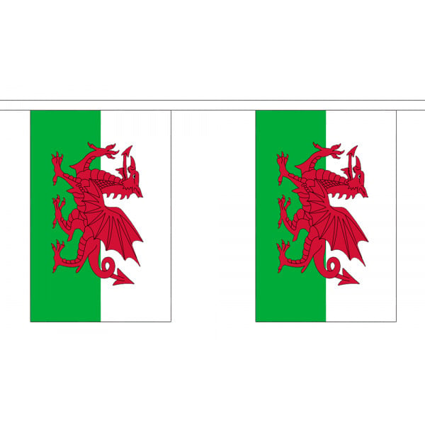 Fabric 9m Wales flag bunting 30 flags 