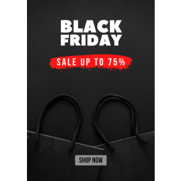 Black Friday Retail Sale Poster