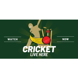 Cricket - Banner 176