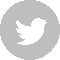 Twitter Icon
