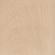 Beech