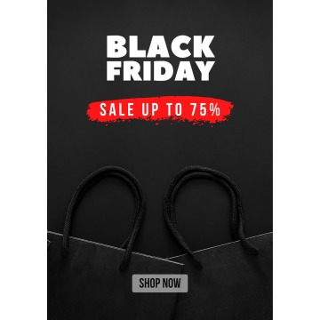 Black Friday Retail Sale Poster