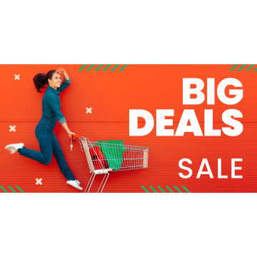 Big deals sale banner