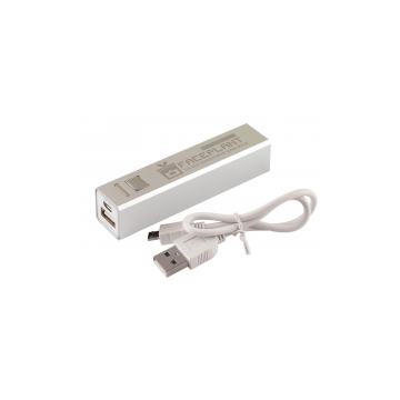 Custom Branded Powerbank Portable charger
