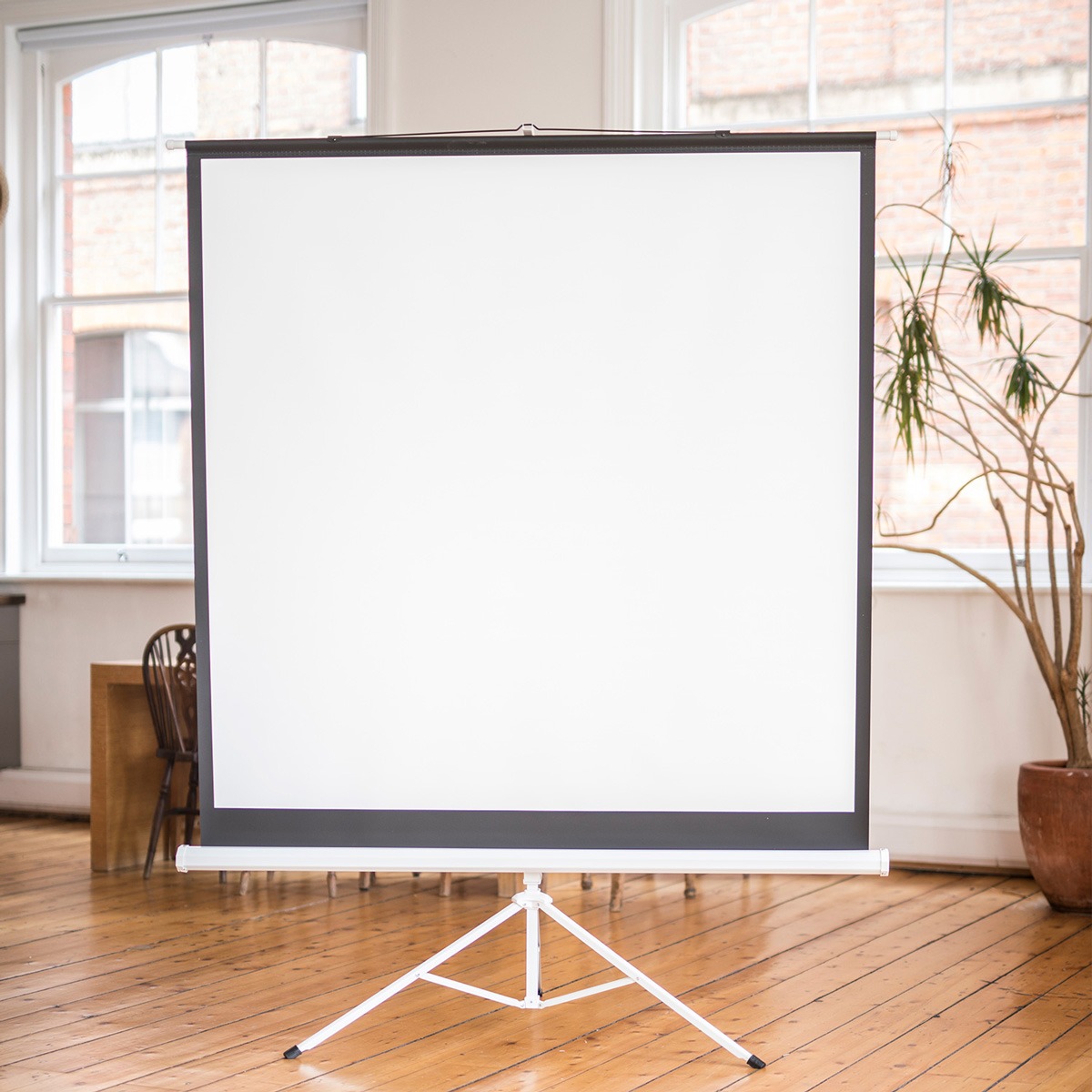 Budget Tripod Portable Floor Projector Screen