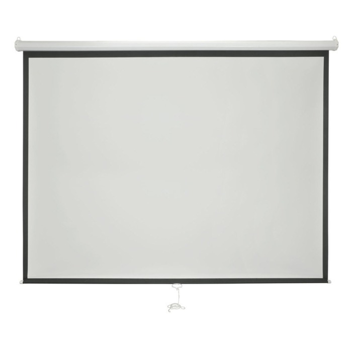Budget Manual Projector Screen