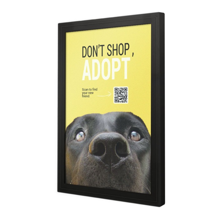 Slim Profile Frame