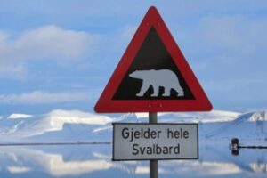 Bear warning sign