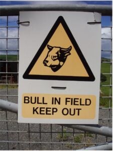 Bull in field keep out