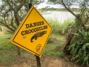 Danger crocodile