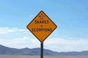 Beware snakes & scorpions