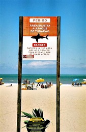 Beach - shark warning sign