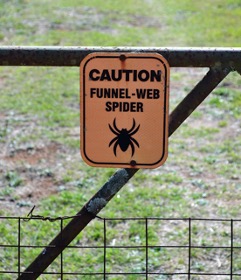 Spider warning sign