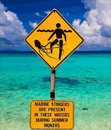 Stingray and marine animal warning