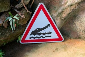 Crocodile Warning Sign