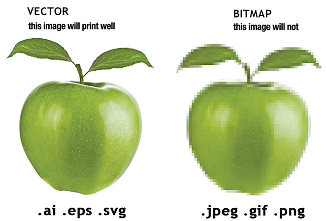 Vector Art Guide